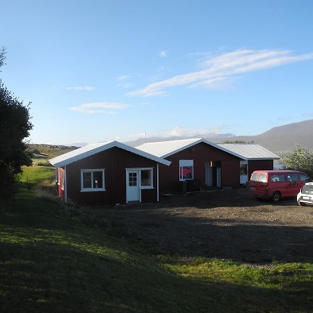 Icelandhorsetours - Helluland Saudarkrokur Eksteriør bilde