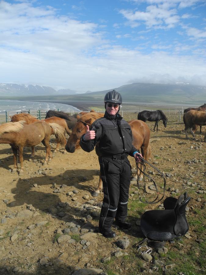 Icelandhorsetours - Helluland Saudarkrokur Eksteriør bilde