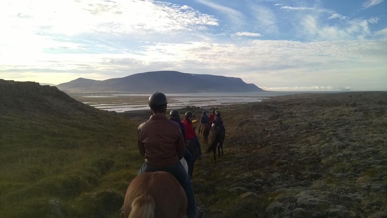 Icelandhorsetours - Helluland Saudarkrokur Eksteriør bilde