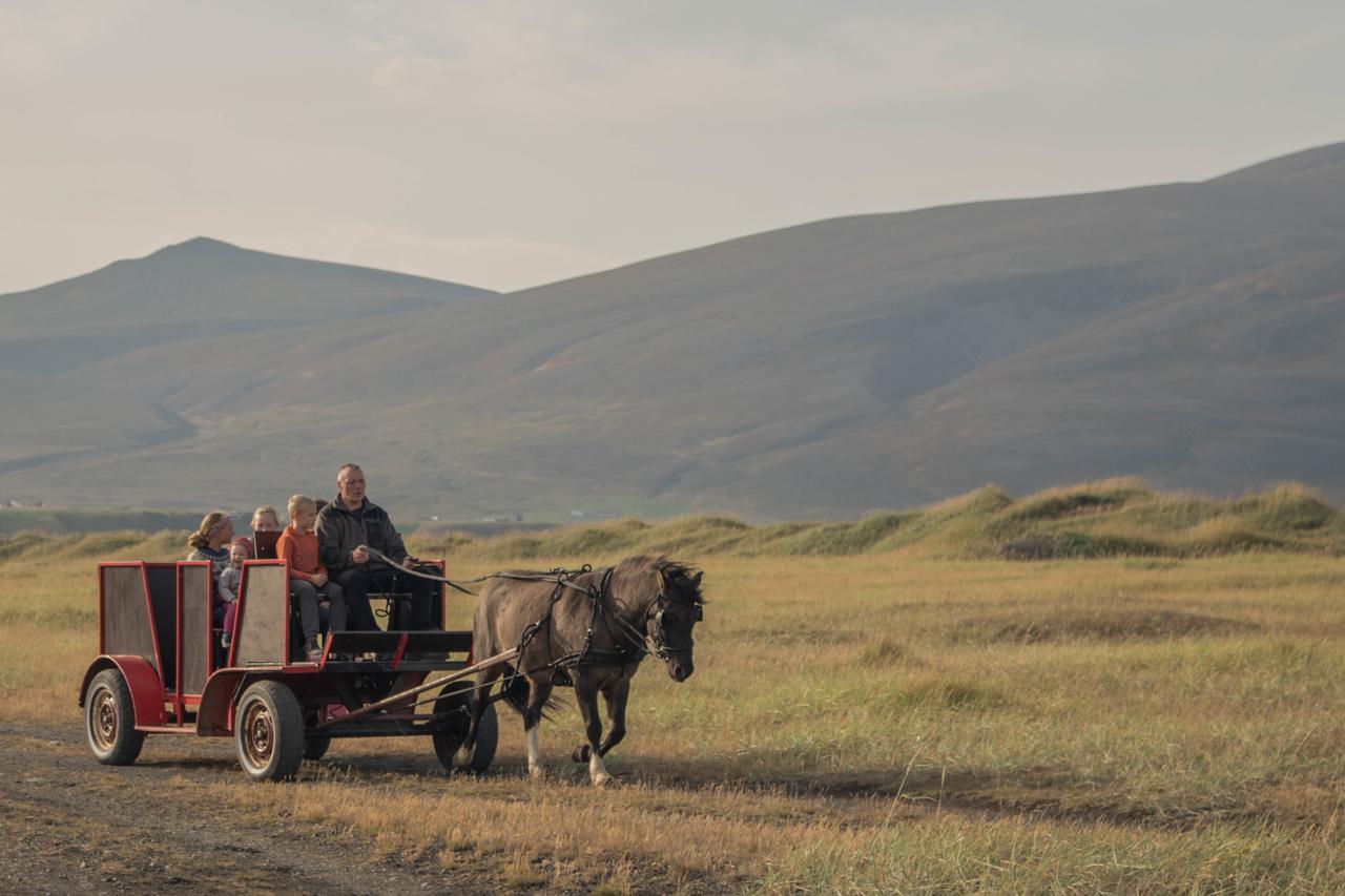 Icelandhorsetours - Helluland Saudarkrokur Eksteriør bilde